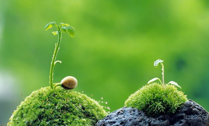 “Sổ đỏ” viết bằng những điều tử&nbsp;tế